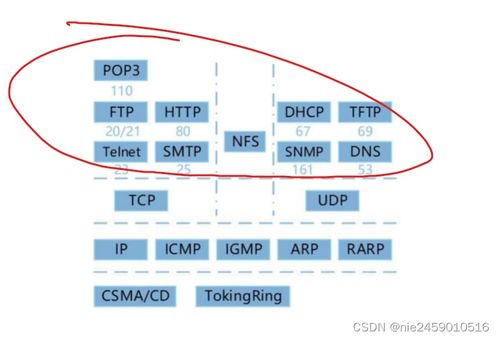 软考软件设计师 计算机网络与计算机软件开发技术核心笔记